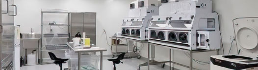 Pharma In Silica laboratory